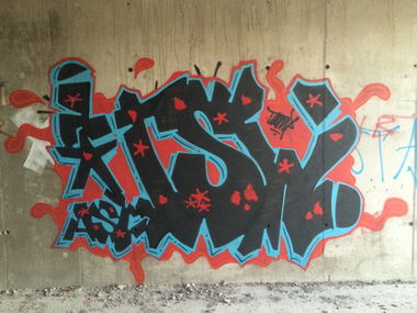 Graffiti Bombing - Photo by Tampalasc