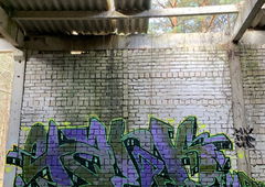 Photo #249080 by iobe1