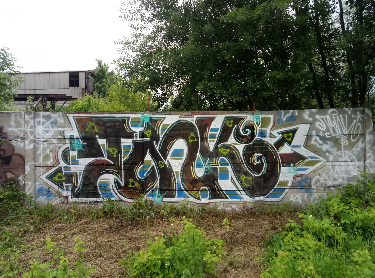 Graffiti Wall - Photo by Tank27 - trainline