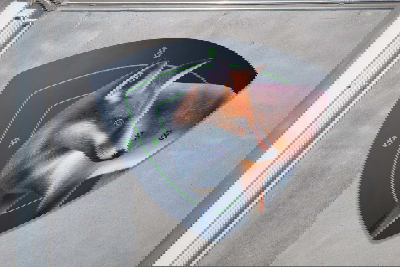 Graffiti Wall - Photo by TankStealth - Tank