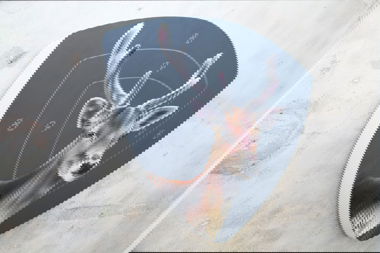 Graffiti Artwork - Photo by TankStealth - Tank