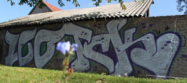 Graffiti Bombing - Photo by TatraCityKidZ - Leo, Tck (2013)