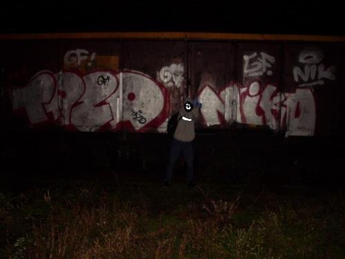 Graffiti Train in Police - Photo by Tazik1 - ft., nikow