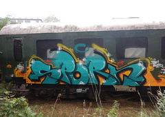 Graffiti Train - Photo by TeamEwos - Sporn, Awik, Ewos (2015)
