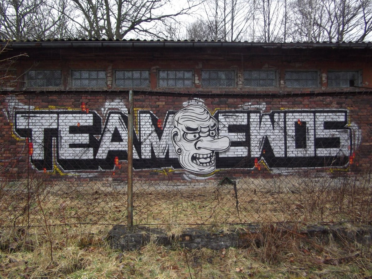 Graffiti Bombing - Photo by TeamEwos - Ewos, TeamEwos, EwosCrew (2015)
