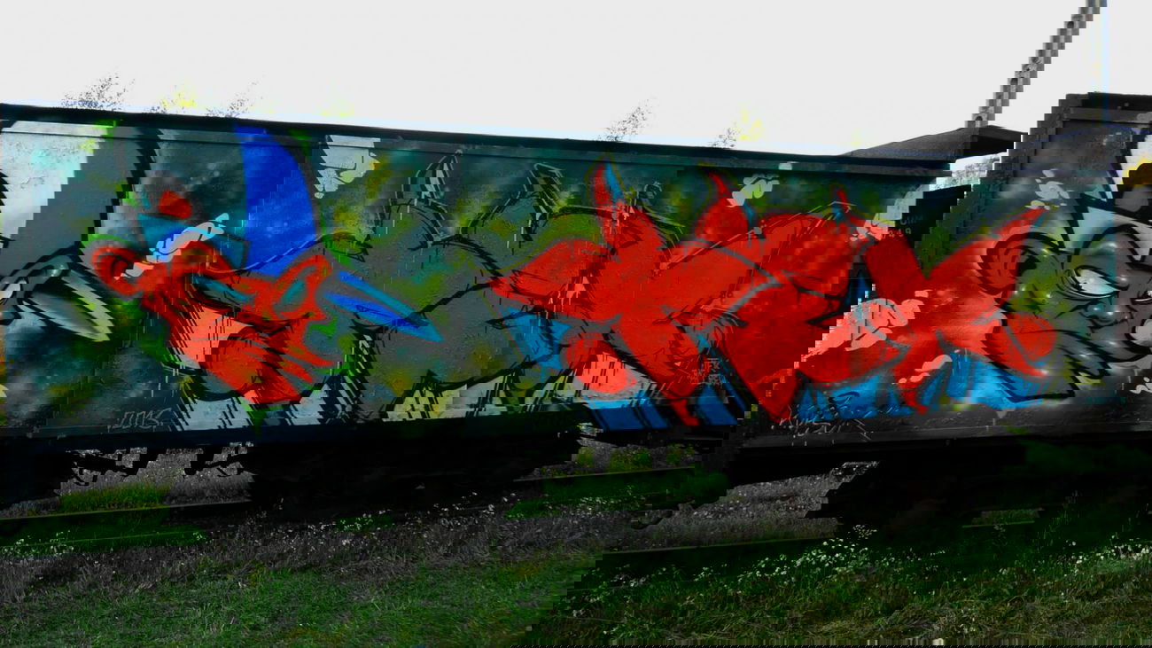 Graffiti Train - Photo by Tec - Kupsok&Tek (2013)