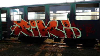 Graffiti Train - Photo by Tec - riki (2014)