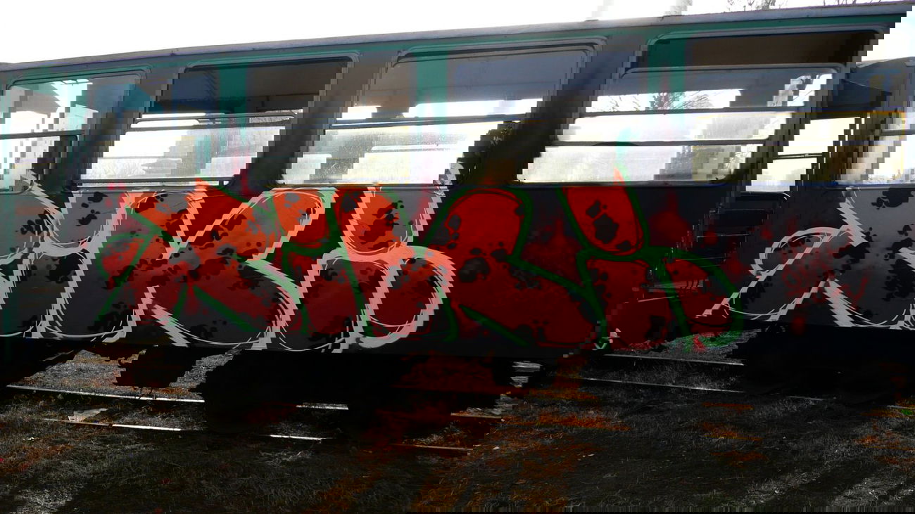 Graffiti Train - Photo by Tec - riki (2014)