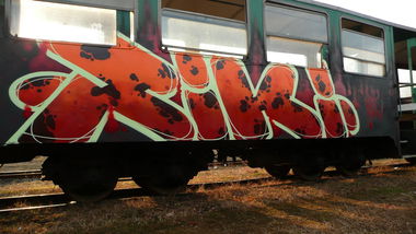 Graffiti Train - Photo by Tec - riki (2014)