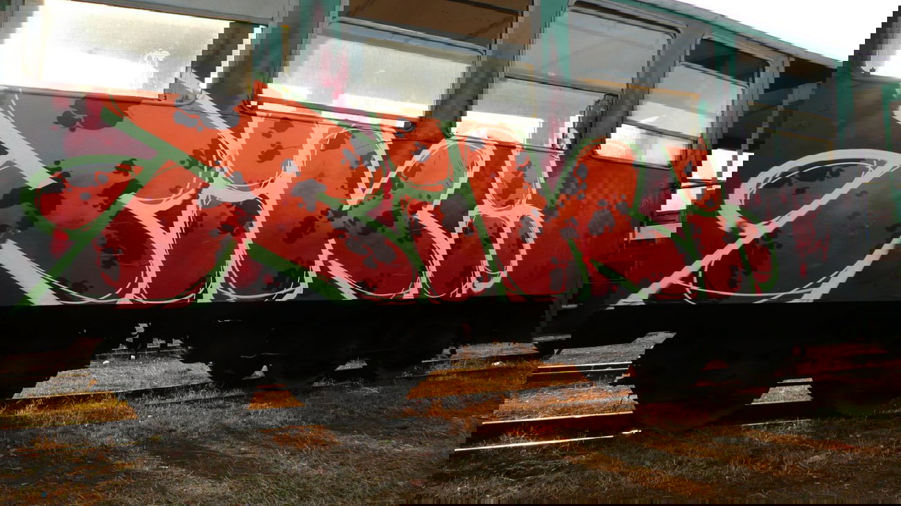 Graffiti Train - Photo by Tec - riki (2014)