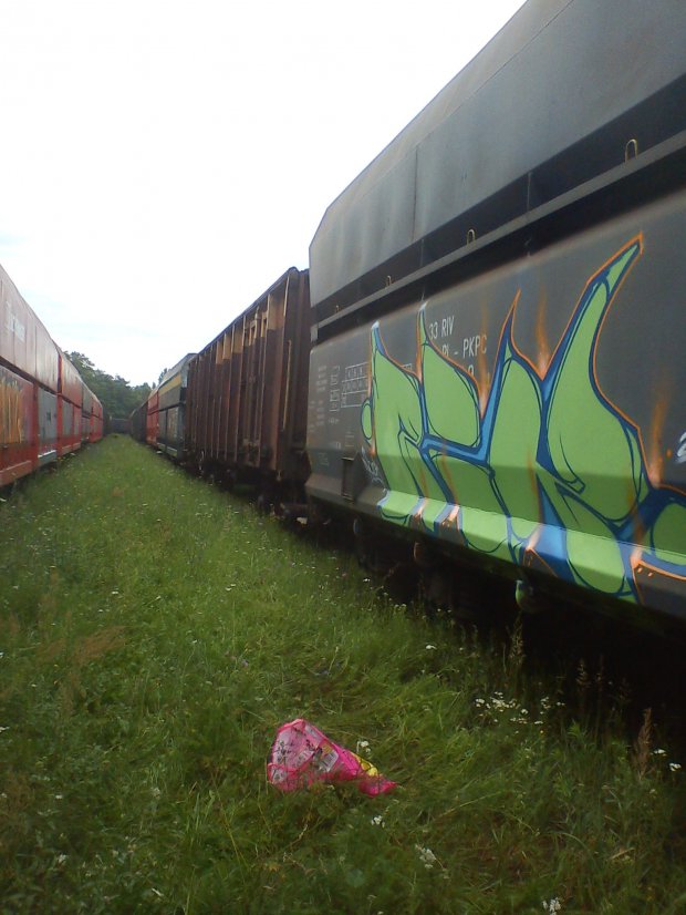Graffiti Train - Photo by Tec - rik (2012)
