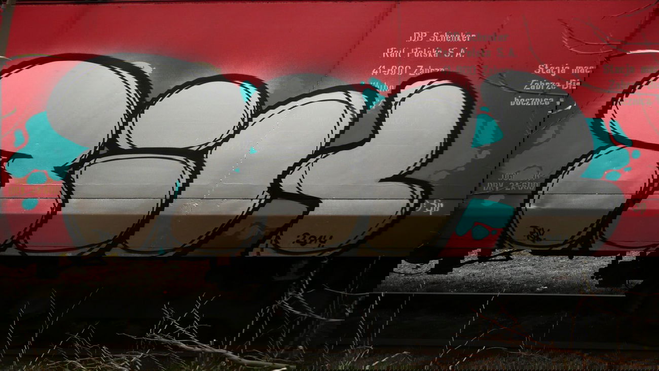 Graffiti Train - Photo by Tec - Rik (2014)