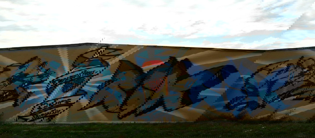 Graffiti Wall - Photo by Tec - fest, dean, rik (2014)