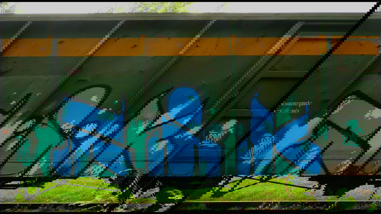 Graffiti Train - Photo by Tec - rik (2014)