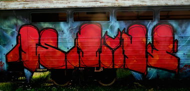 Graffiti Train - Photo by Tec (2014)