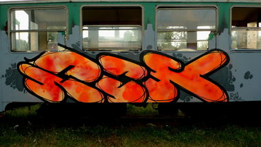 Graffiti Train - Photo by Tec (2014)