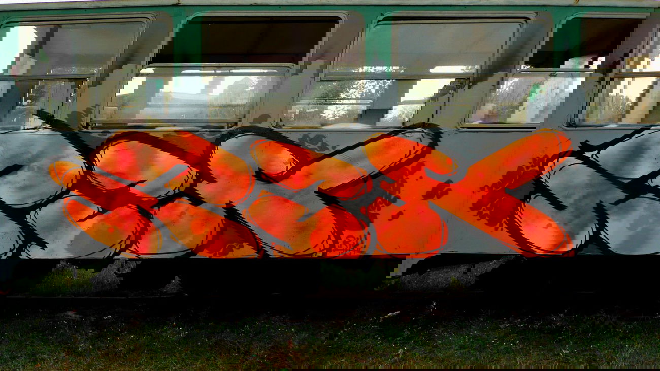 Graffiti Train - Photo by Tec (2014)