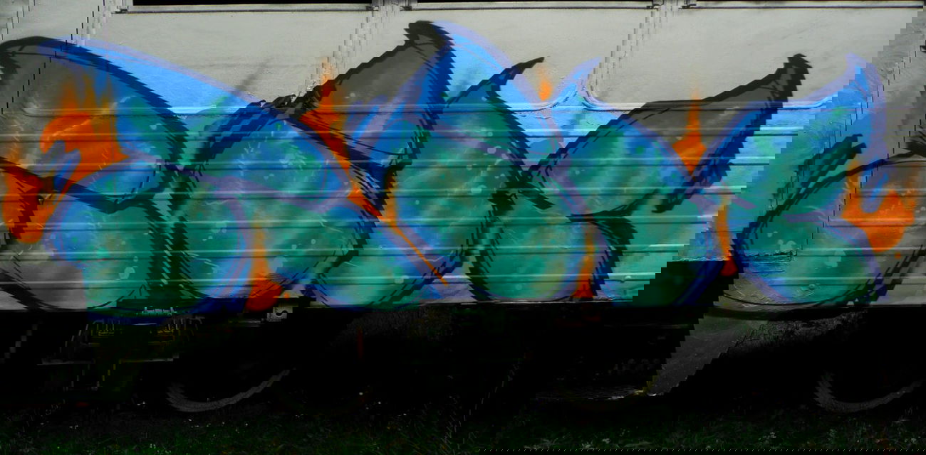 Graffiti Train - Photo by Tec - rik (2014)