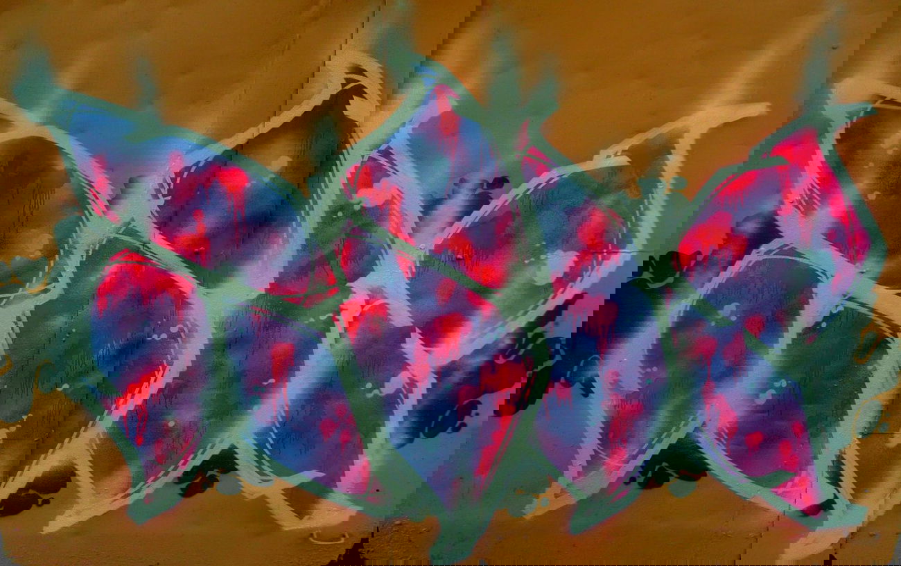 Graffiti Wall - Photo by Tec - rik (2014)