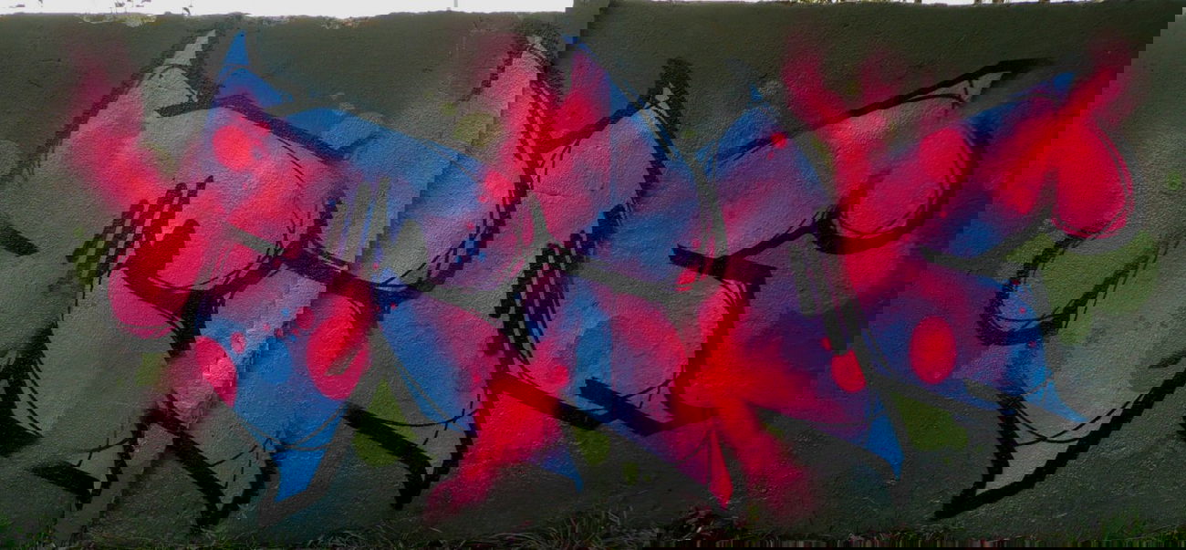 Graffiti Wall - Photo by Tec (2014)