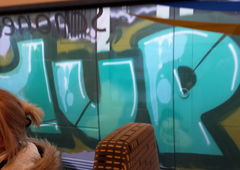 Photo #96057 by TagHagel