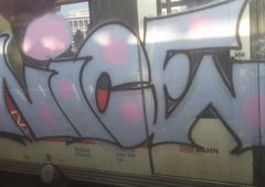 Photo #97536 by TagHagel