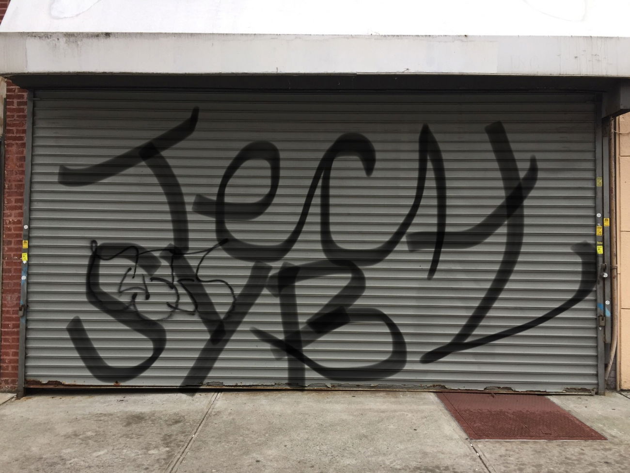 Graffiti Bombing - Photo by Techone - Tech