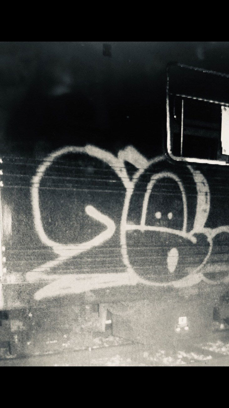 Graffiti Train - Photo by Techone - DR, one