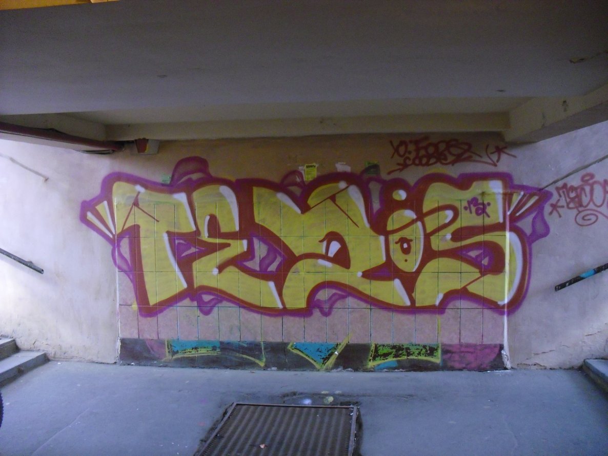 Graffiti Bombing - Photo by Tedor1 (2013)