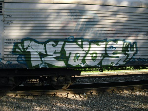 Graffiti Train - Photo by Tedor1 (2013)