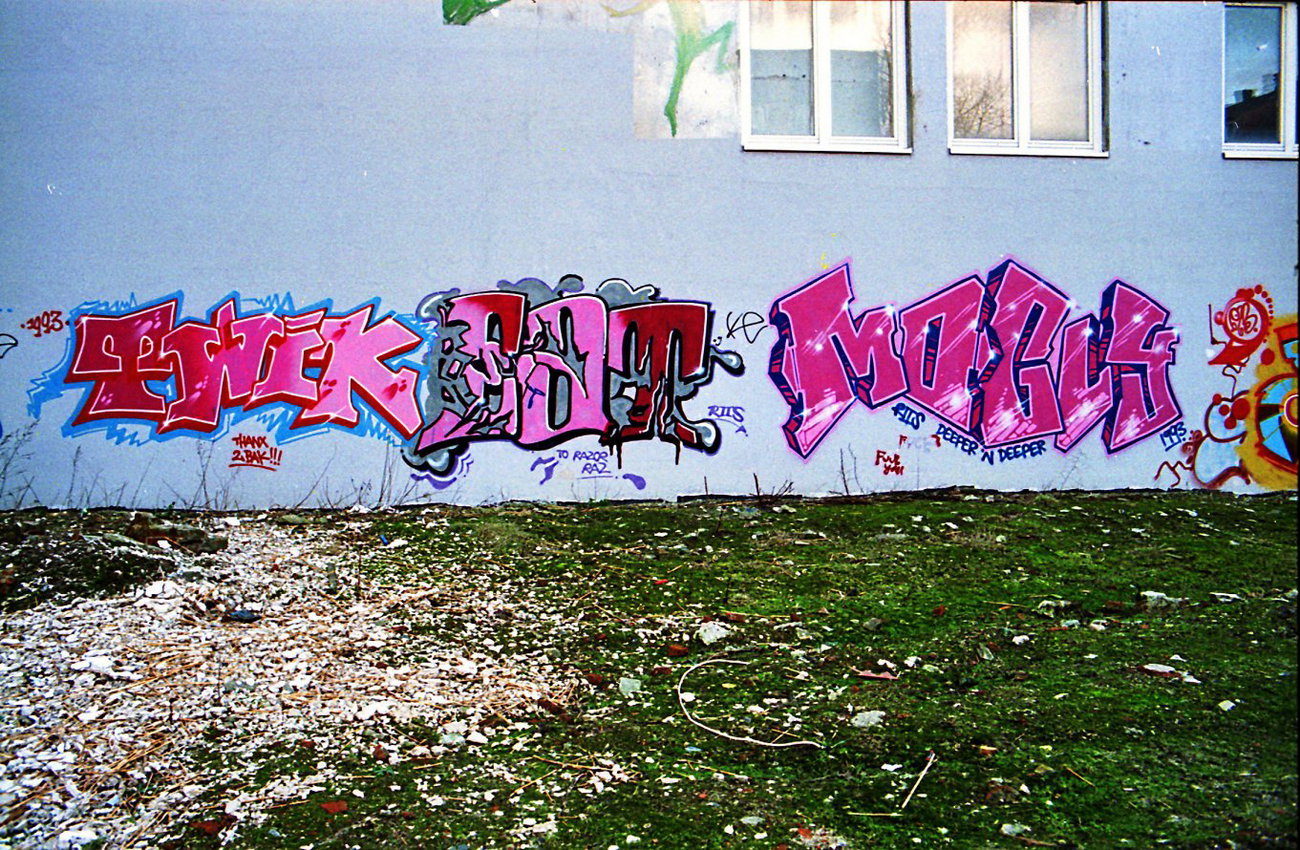 Graffiti Wall - Photo by Tedster (1993)