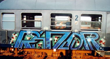 Graffiti Train - Photo by Tedster