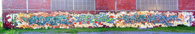 Graffiti Wall - Photo by Tedster