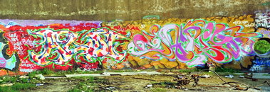 Graffiti Wall - Photo by Tedster