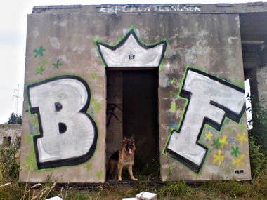 Graffiti Wall - Photo by Tekstyl - BF, SILVER, TEKS