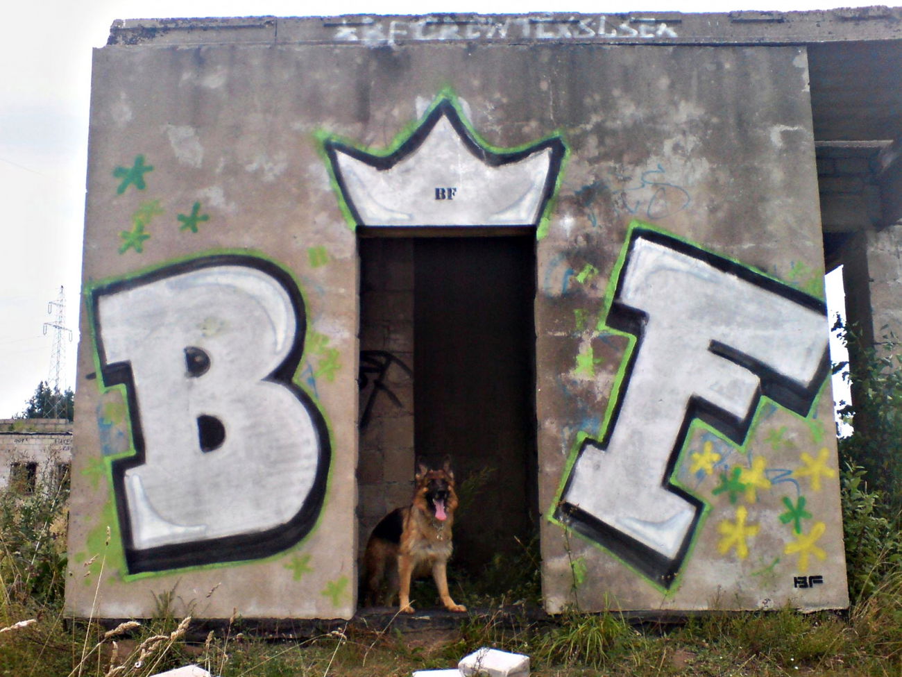 Graffiti Wall - Photo by Tekstyl - BF, SILVER, TEKS