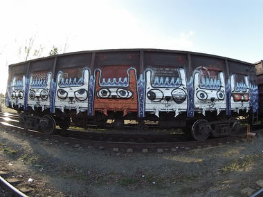 Graffiti Train - Photo by Teli (2014)
