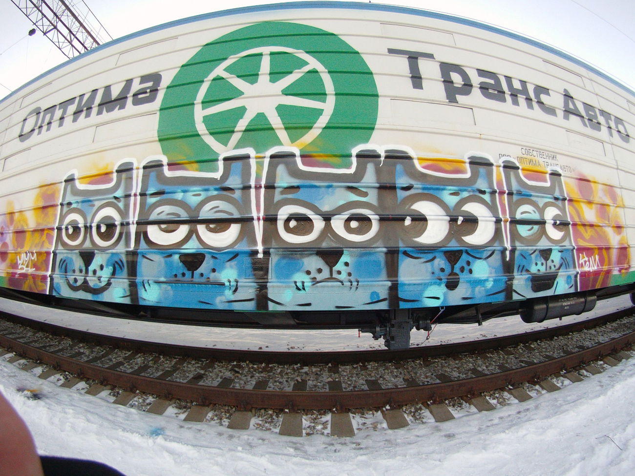 Graffiti Train - Photo by Teli (2015)