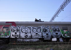 Graffiti Train in Российская Федерация - Photo by Teli (2016)