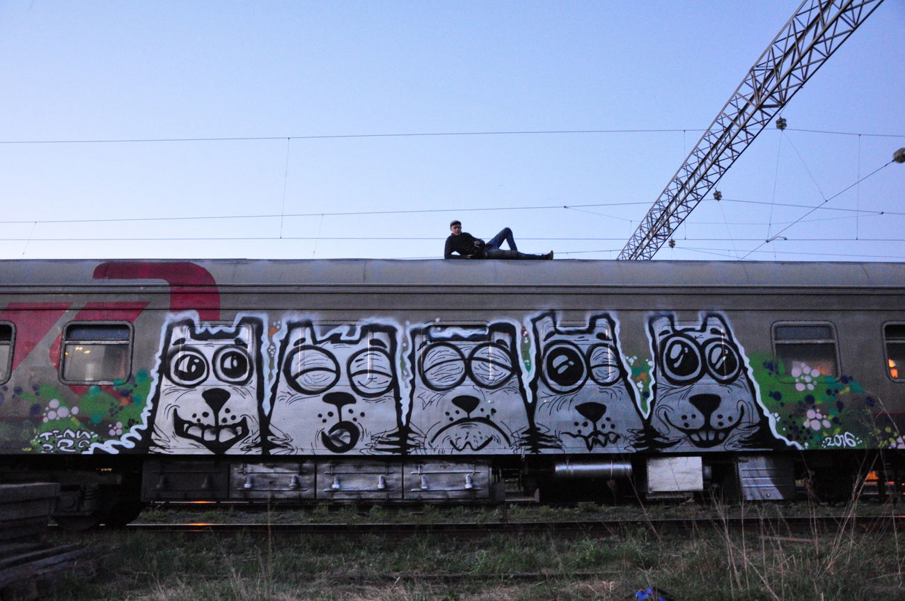 Graffiti Train in Российская Федерация - Photo by Teli (2016)