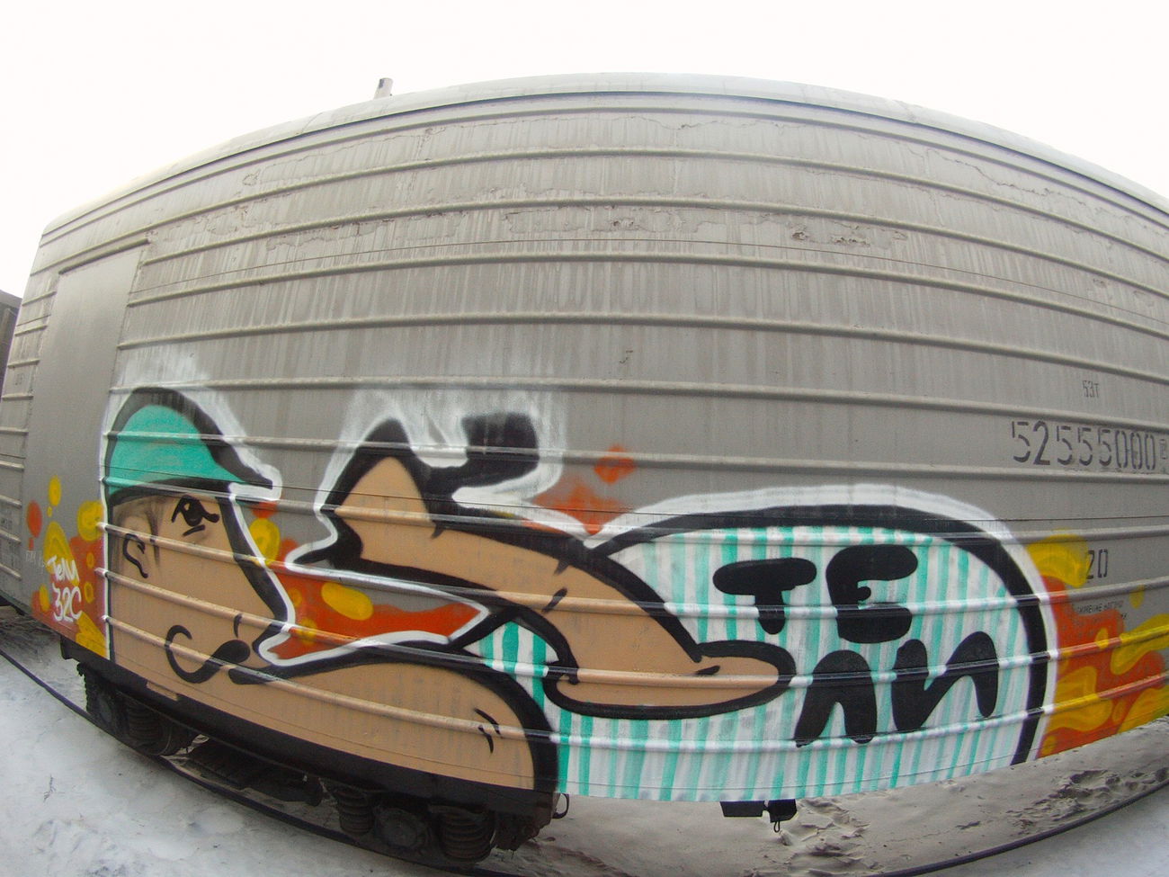 Graffiti Train - Photo by Teli (2015)