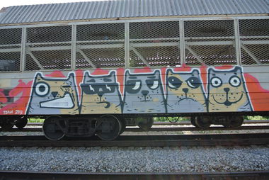Graffiti Train - Photo by Teli (2013)