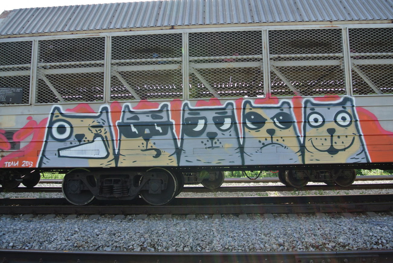 Graffiti Train - Photo by Teli (2013)