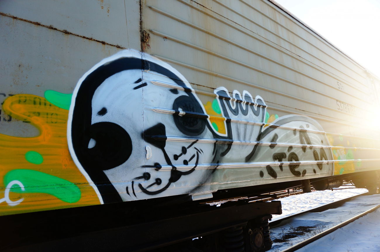 Graffiti Train - Photo by Teli (2015)