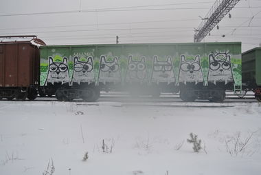 Graffiti Train - Photo by Teli (2014)