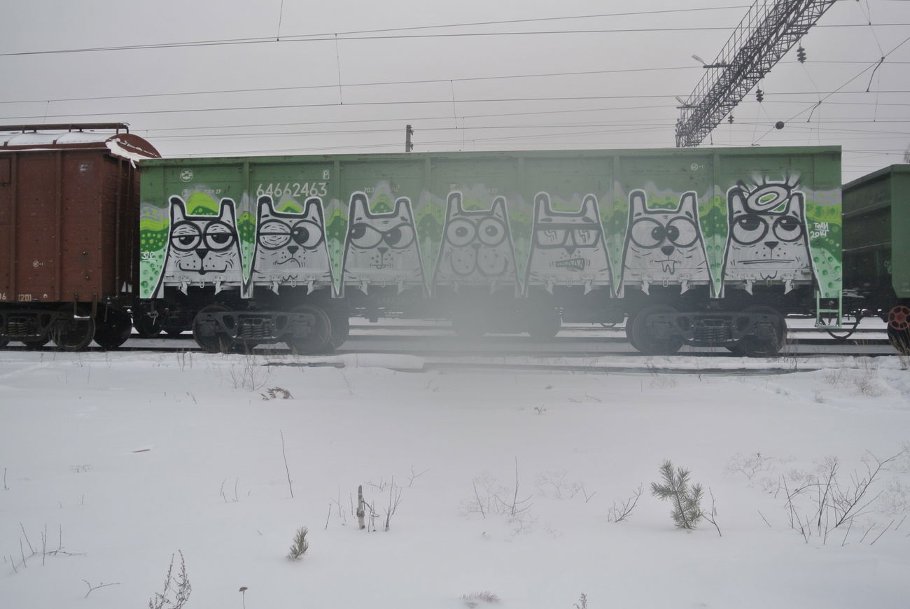 Graffiti Train - Photo by Teli (2014)