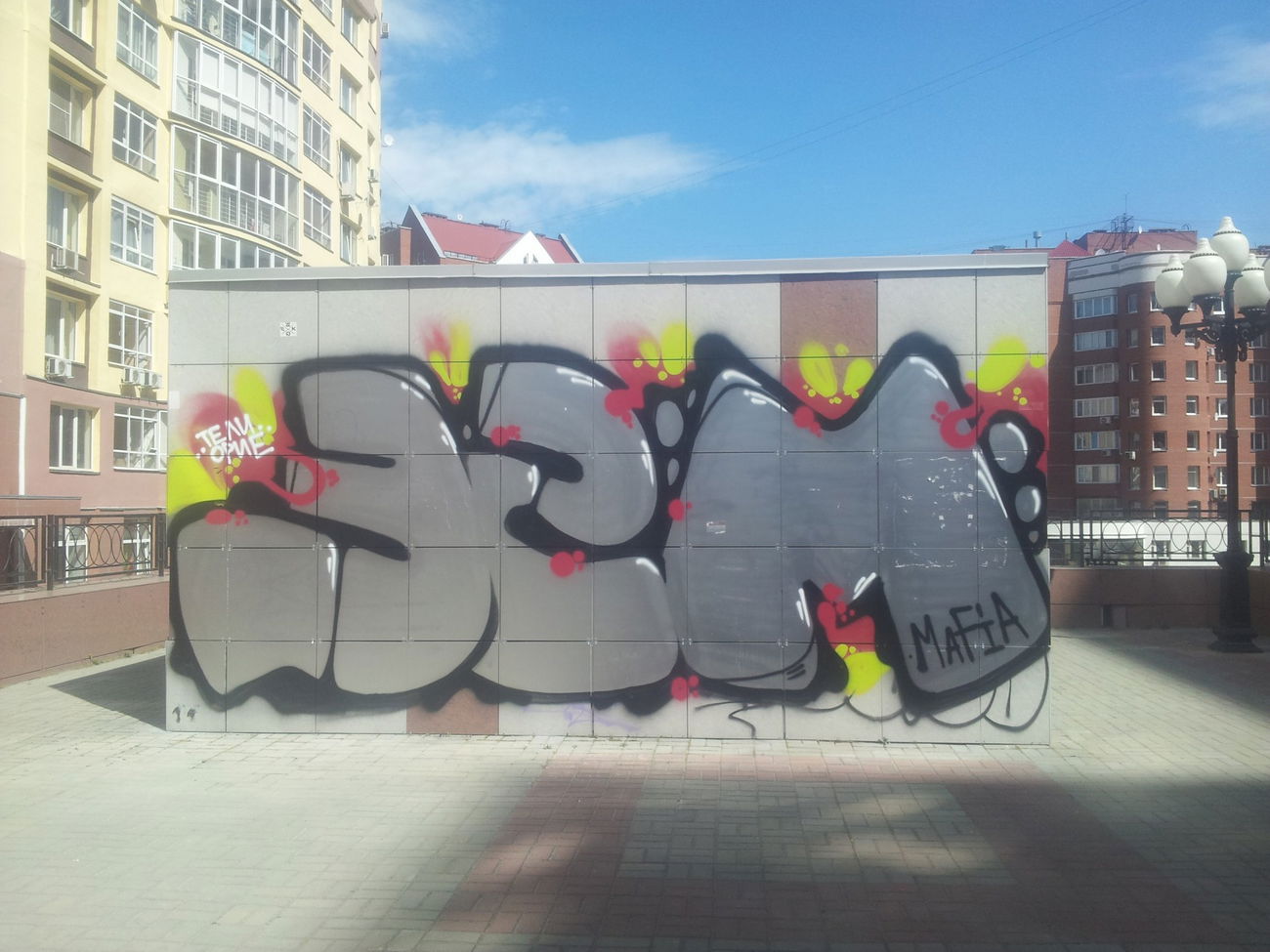 Graffiti Bombing - Photo by Teli