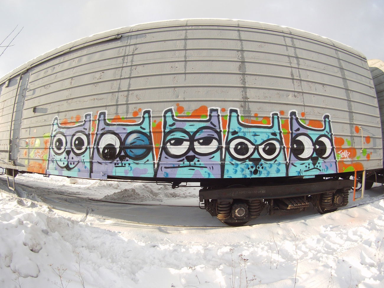 Graffiti Train - Photo by Teli (2015)