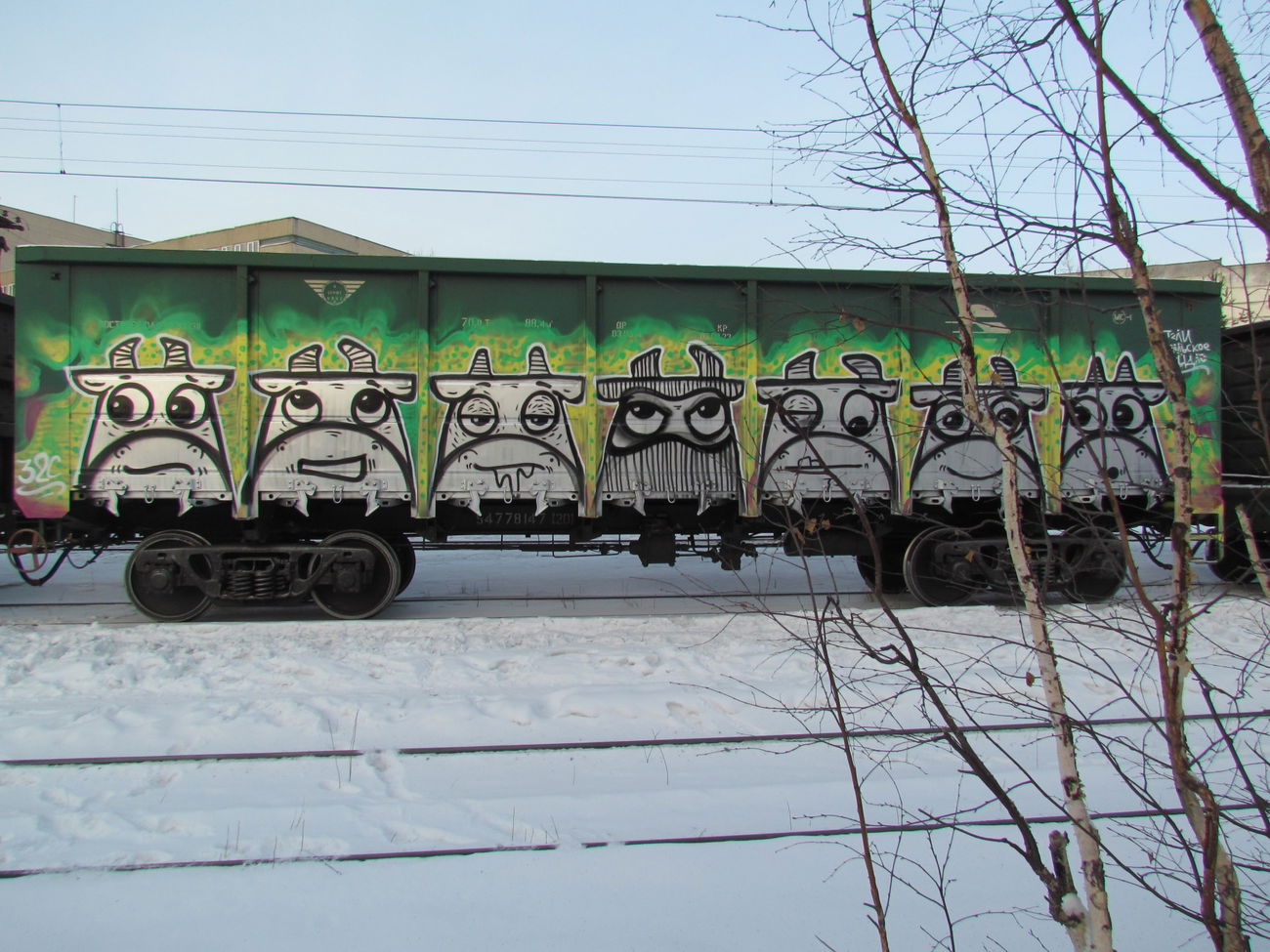 Graffiti Train - Photo by Teli (2013)