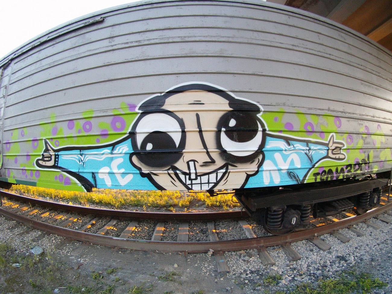 Graffiti Train - Photo by Teli (2015)